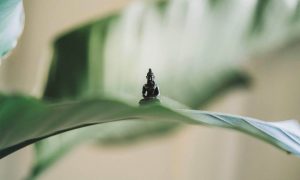 nieuwsbericht_yty_houten_trainen_stretchen_ontspannen