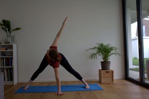 yty_Vinyasa_yoga_4