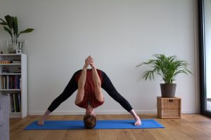 yty_Vinyasa_yoga