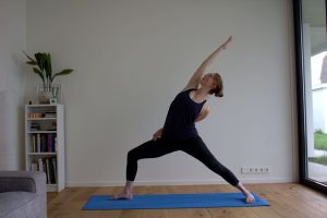 yty_vinyasa_yoga