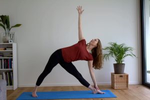 yty_vinyasa_yoga